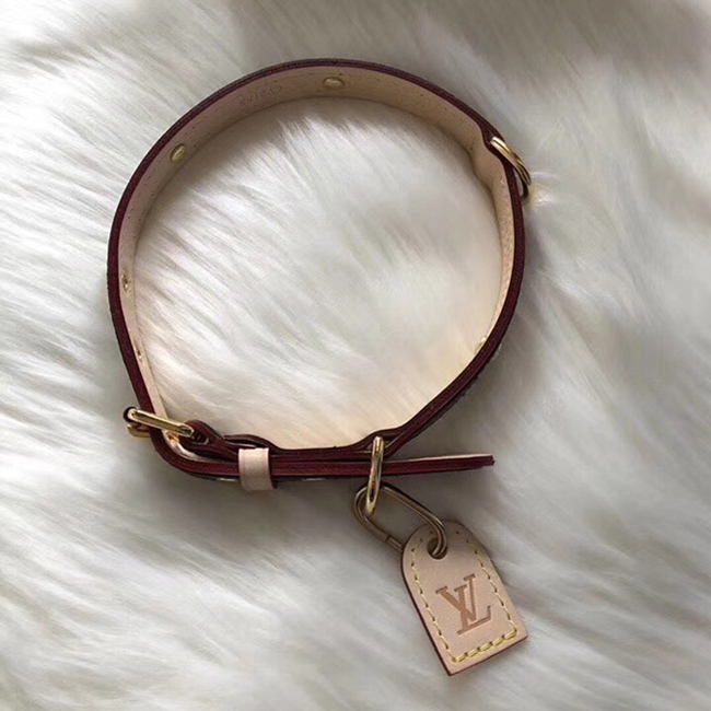 Louis Vuitton Baxter Dog Collar PM – Pursekelly – high quality